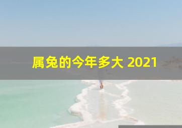 属兔的今年多大 2021